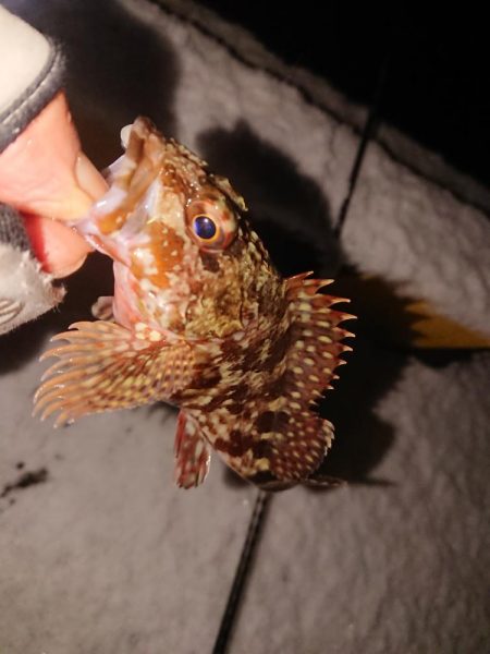 大雪警報発令中の中で